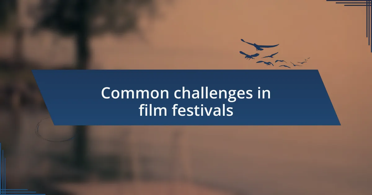 Common challenges in film festivals