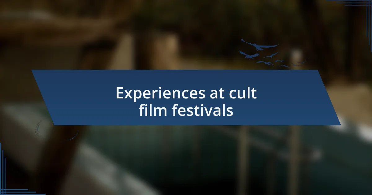 Experiences at cult film festivals