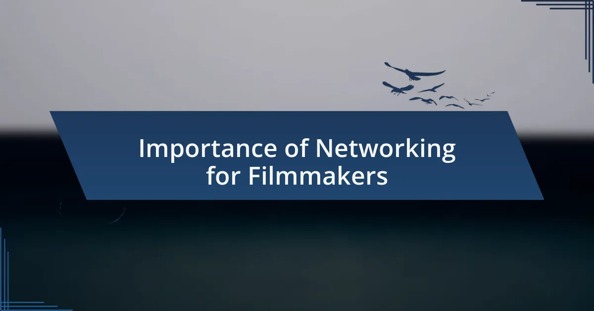 Importance of Networking for Filmmakers