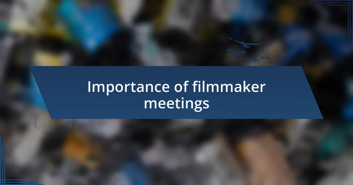 Importance of filmmaker meetings