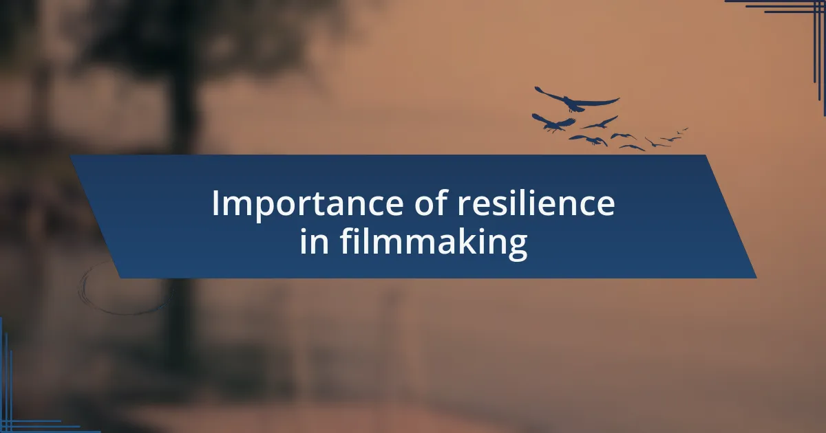 Importance of resilience in filmmaking