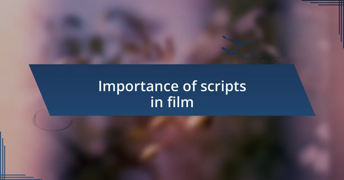 Importance of scripts in film