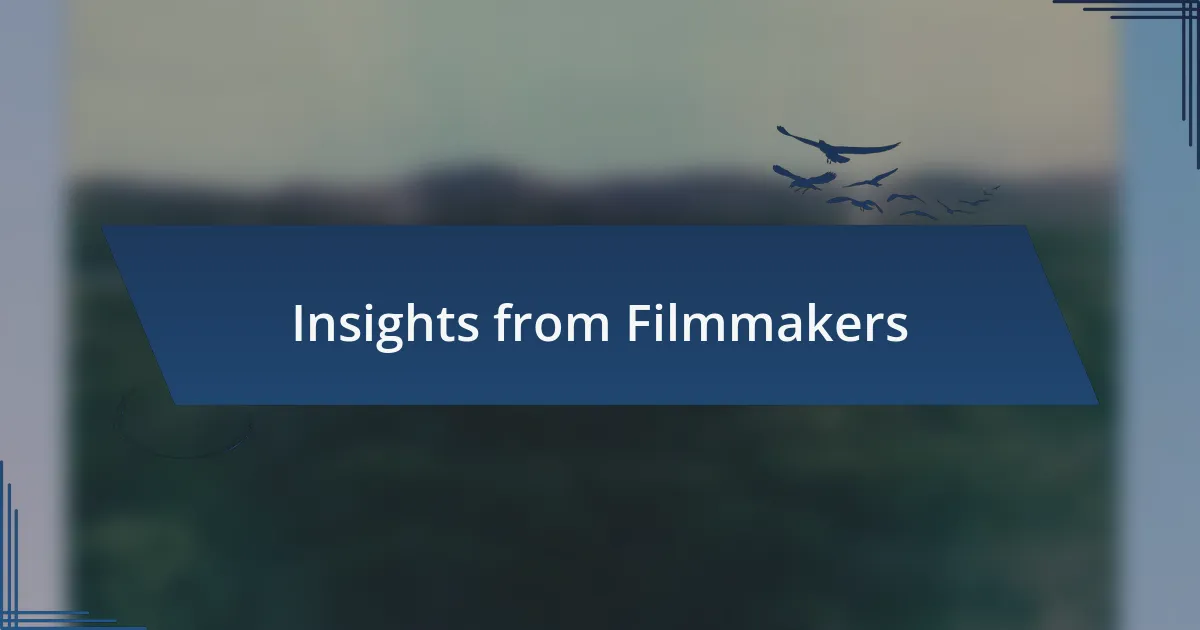 Insights from Filmmakers