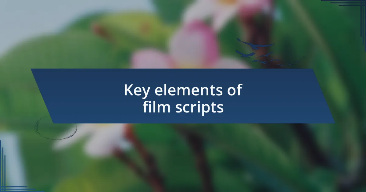 Key elements of film scripts
