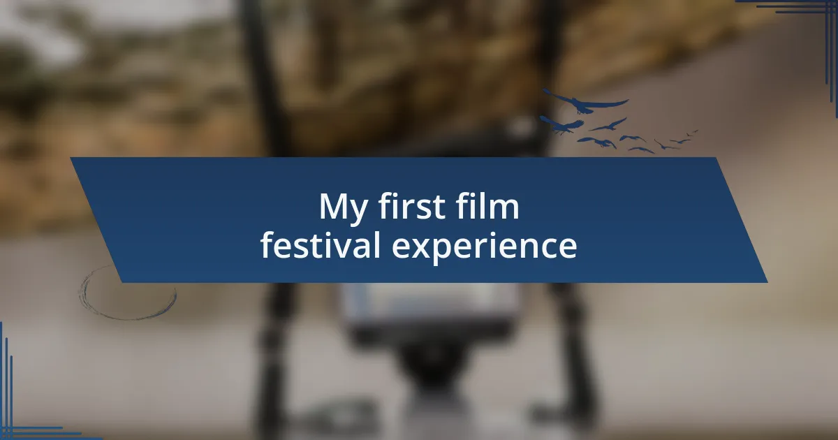 My first film festival experience