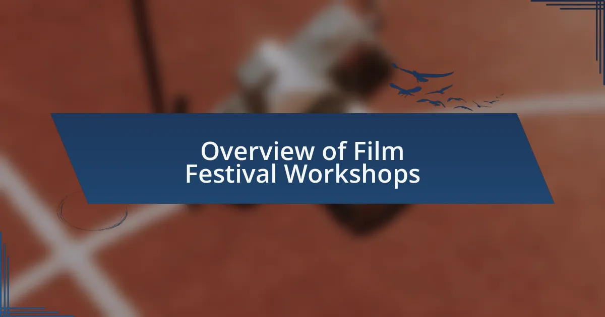 Overview of Film Festival Workshops